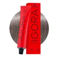 Schwarzkopf Igora Royal 8-21 Cendré Aschhellblond 60ml