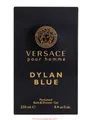 VERSACE Dylan Blue Pour Homme Bath & Shower Gel