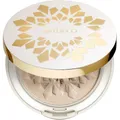 ARTDECO Teint Puder-BlushGlow Highlighting Powder Miracle Glow 9 g