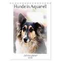 Hunde in Aquarell - Jahresplaner (Tischkalender 2026 DIN A5 hoch) CALVENDO Monatskalender von Sonja Teßen/ Calvendo / Calvendo / Kalender