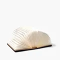 Buchlampe "Booklover", groß Exklusiv bei uns!