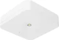fischer Sicherheitsleuchte EB 1/3/8h 1W IP20 SLM-D31USC (SLM-D31USC)