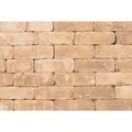 Diephaus Mauerstein Collo Marlo Sandstein 35 x 14 x 14 cm