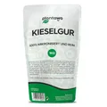 PLANTAWA Kieselgur Pulver 1kg | Hochwertiges Diatomeenerde für den Gemüsegarten, Schädlingsbekämpfung, Saatgutkonservierung | Nachhaltig und Rein, Verpackung kann variieren