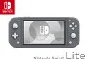 NINTENDO Switch Lite Grau Spielekonsole - Sehr Gut