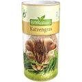 Premium Katzengras Samen Chrestensen, Grassamen schnellkeimend, 1 Dose 110 g, reicht für ca. 4-5 m² Katzengras fertig gewachsen, Natürliche Katzen Leckerlies zu Hause
