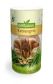 Katzengras  4-5 m² Streudose Saatgut 6002