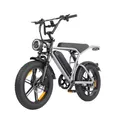 E-Bike Cityrad E6-3.0 Elektrofahrrad 20” x 4 Damen u. Herren Pedelec 720Wh Max.108KM Kettenschaltung, Heckmotor, 720 Wh, Pedelec, Elektrofahrrad