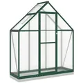 furnicato Gewächshaus 169x58x202 cm Grün und transparent mit Aluminiumrahmen grün 58 cm x 202 cm x 169 cm