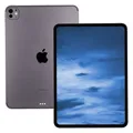 Apple iPad Pro 11 M4 WiFi + 5G 256GB Spaceschwarz 2024 iOS Tablet wie neu