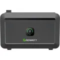Growatt Noah 2000 - Schwarz