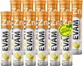 EVÄM Zink plus Vitamin C Brausetabletten Geschmack Zitrone 12x 20 Stück Nahrungsergänzungsmittel zur Unterstützung des Immunsystems zuckerfrei Hergestellt in DE