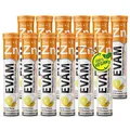 EVÄM Zink plus Vitamin C Brausetabletten I Geschmack Zitrone I 12x 20 Stück I Nahrungsergänzungsmittel zur Unterstützung des Immunsystems I Vegan I Made in Germany