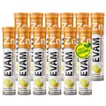 EVÄM Zink plus Vitamin C Brausetabletten Zitrone 12 x 20 Stück Hergestellt in DE