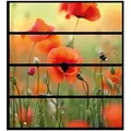 Wallario Möbelfolie Mohnblumenblüten gelb