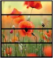 Wallario Aufkleber Möbelfolie Ikea Malm 4 Schub Mohnblumenblüten Mohnblume rot