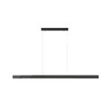 Paul Neuhaus LED-Pendelleuchte 6flg