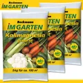 Beckmann 3 x 5 kg Kalimagnesia Bio Kalium Magnesium Chloridarm